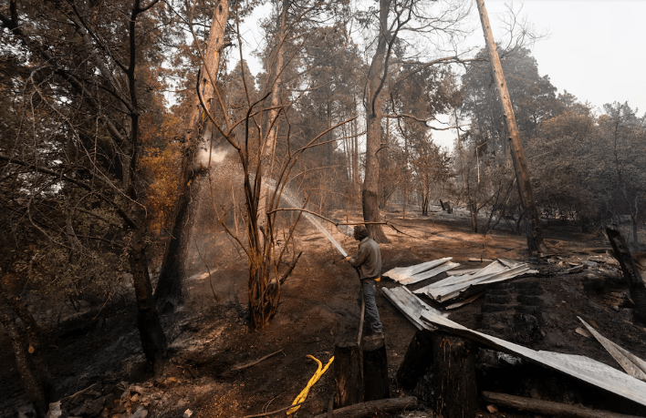 El incendio en Puerto Patriada está contenido en un 85% y afectó casi 12.000&nbsp;hectáreas
