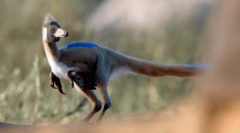 Hallaron en la Patagonia un minidinosaurio que aporta nuevas claves sobre la evolución