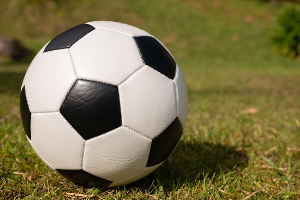 Argentina vs. Argelia en vivo: toda la información del&nbsp;partido